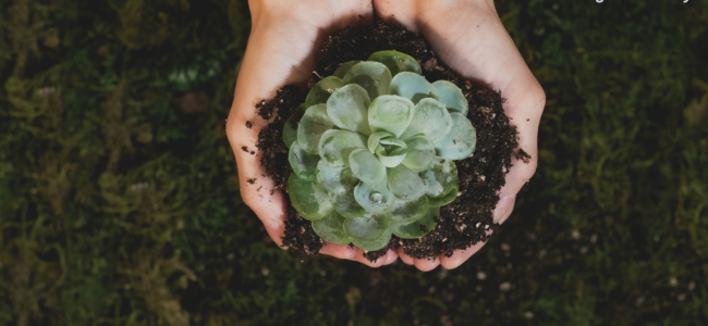 Sustainability: How Invesdor Implements ESG, SDGs, and More