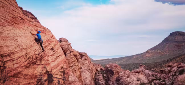 A step-by-step beginner’s guide to investing in the right project