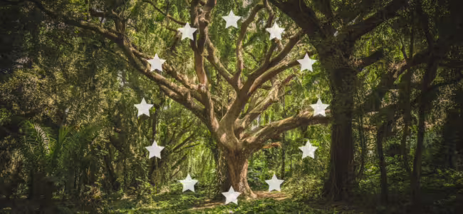 Tap into new potential through sustainable investing on crowdfunding platforms