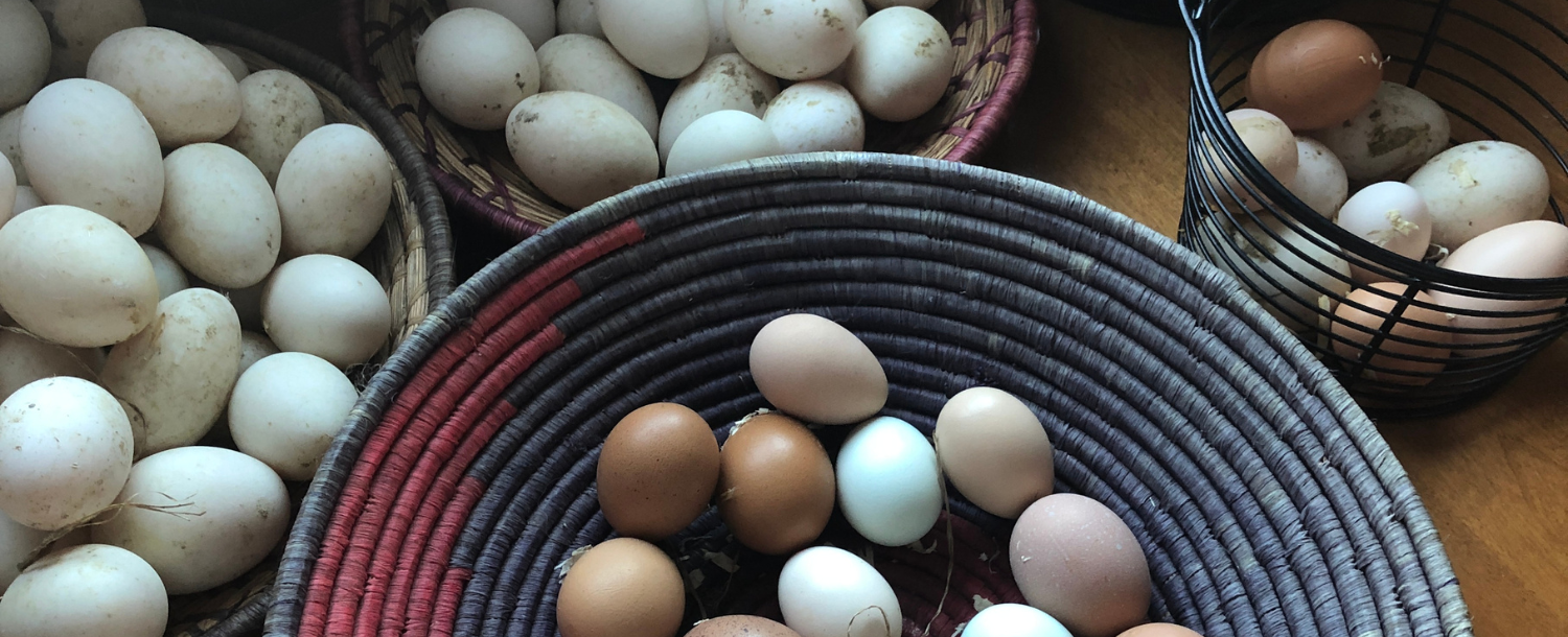 Diversification explained – How to minimize risk and maximize returns in investing